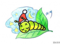 毛毛虫视频,从幼虫到蝴蝶的奇幻之旅