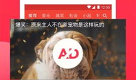 西瓜视频pc,畅享海量视频，轻松打造个性化观影体验
